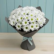 Букет цветов из:  Хризантемы #REPLACE_PRED# Енисейске