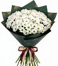 Букет цветов из:  Хризантемы #REPLACE_PRED# Енисейске