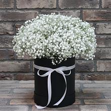 Цветочная композиция из Гипсофила в шляпной коробке в Енисейске