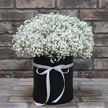 Цветочная композиция из Гипсофила в шляпной коробке в Енисейске